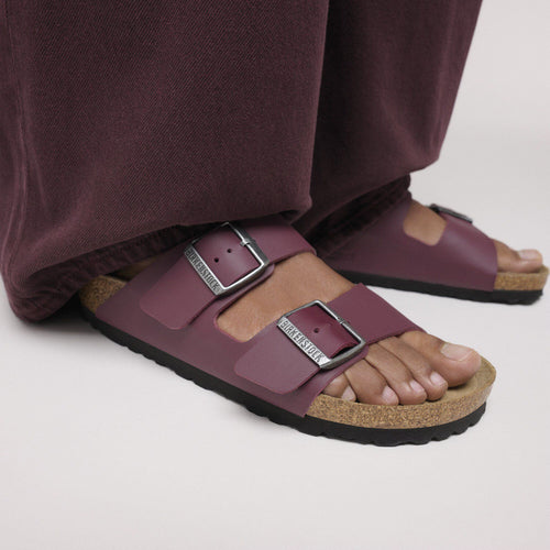 Arizona Birko-flor Zinfandel