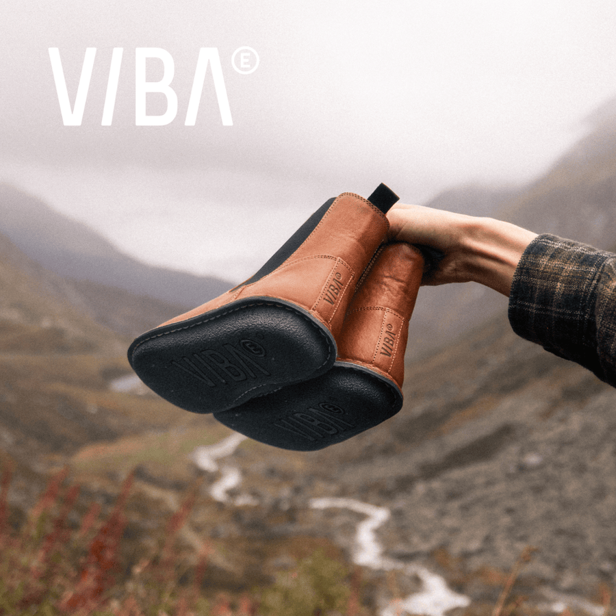 VIBAe