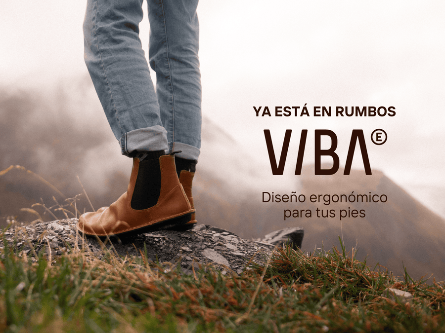 VIBAe