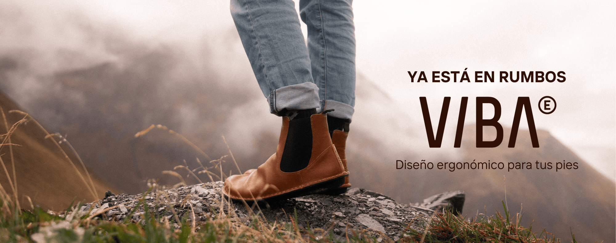 VIBAe