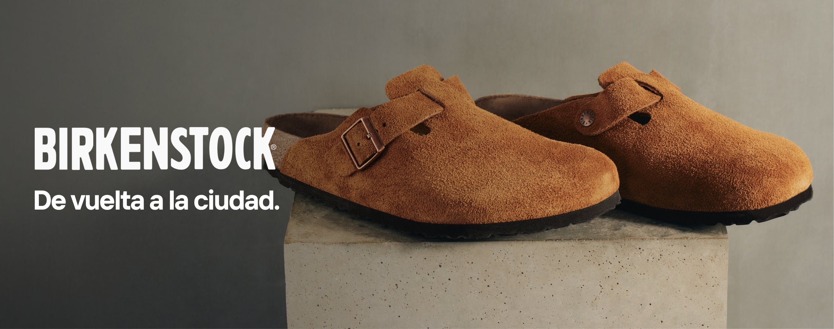 custom-slideshow-image-desktop-block_wpTE6r