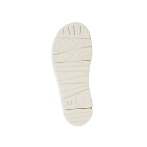 Oruga Up Multicolor