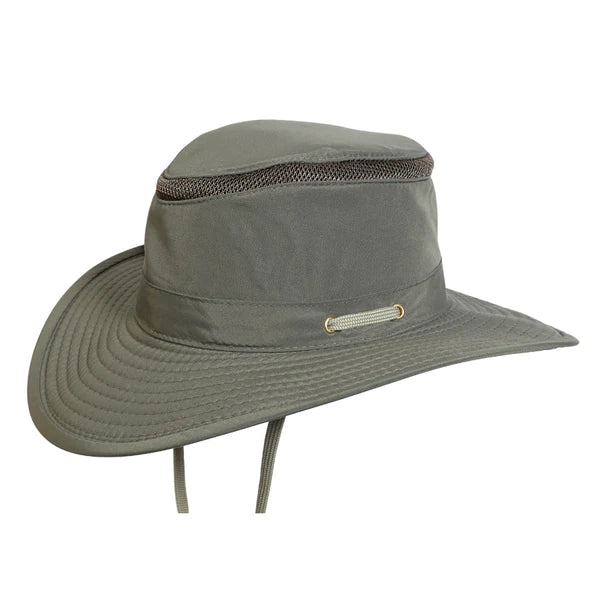 Tarpon Springs Olive (9160771535153)