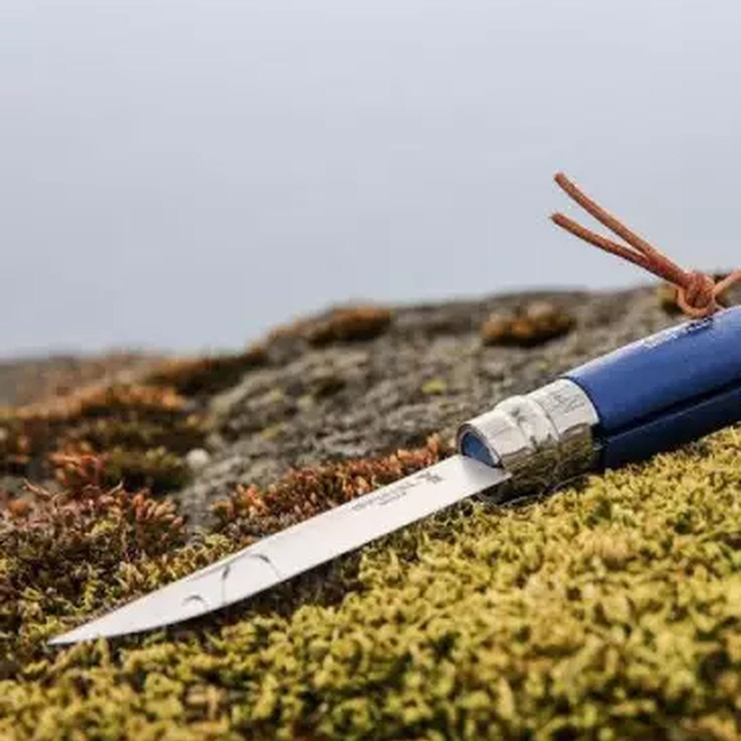 Cuchillo Opinel N°8 Trekking azul con funda - vista 2, detalle de la hoja abierta al aire libre