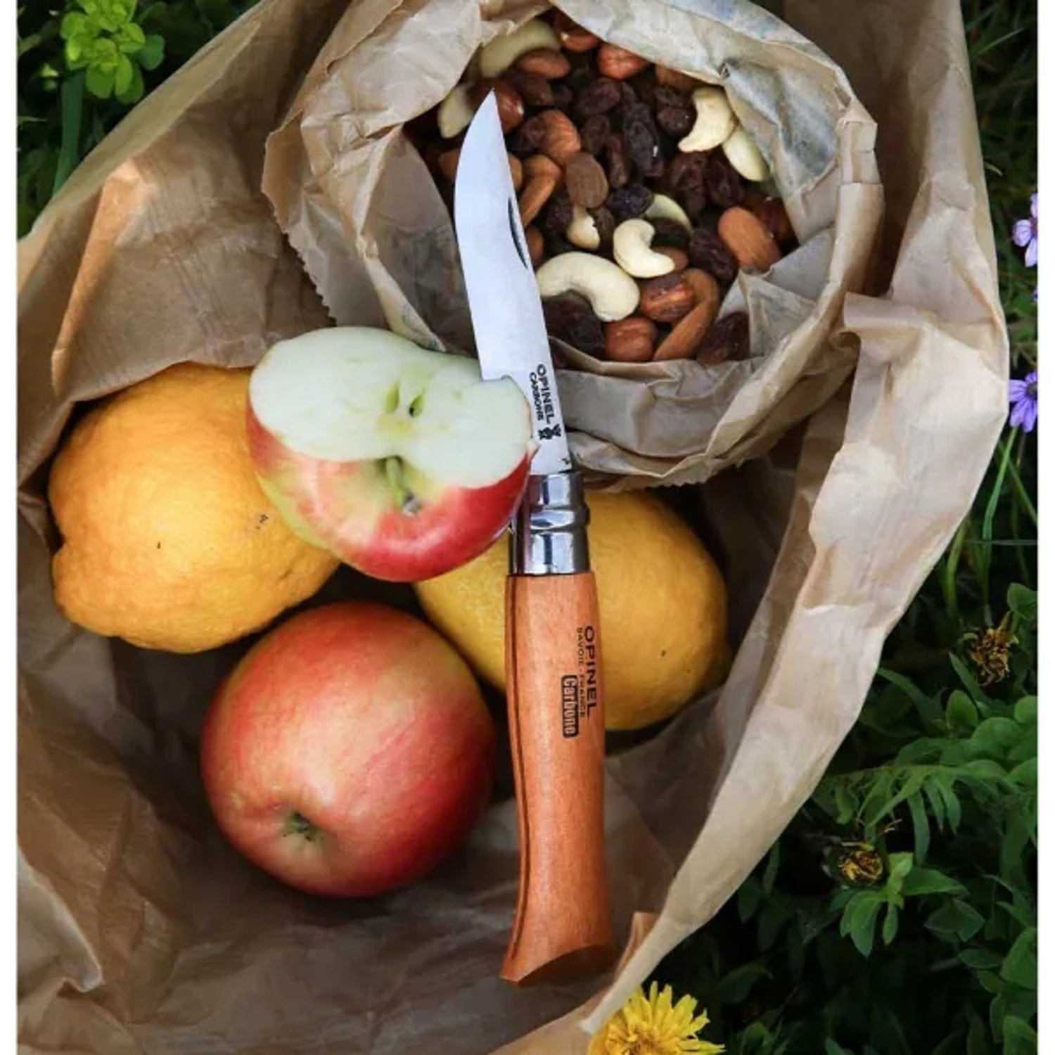 Cuchillo Opinel N°9 Carbon Steel - vista 2, en uso, cortando una manzana