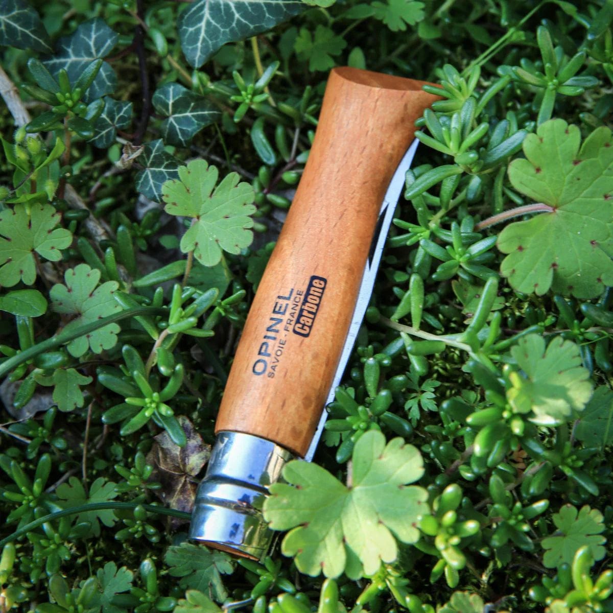 Cuchillo Opinel N°12 Carbon Steel - vista 2, detalle del mango entre plantas