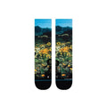 Calcetines Stance Poppy Trails Black, vista frontal del par